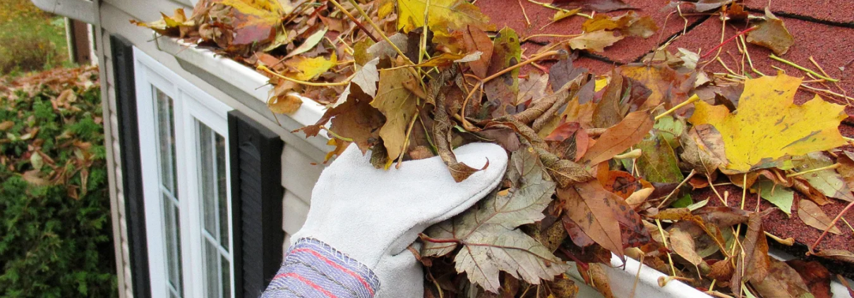 Blog Covers 3 Close up of male hand wearing gloves removing leaves from clogged gutter on residential roof.