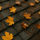 roof shingle lifespan