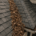 turn key roofing anderson, sc hidden damage from clogged roof valleys & debris build up