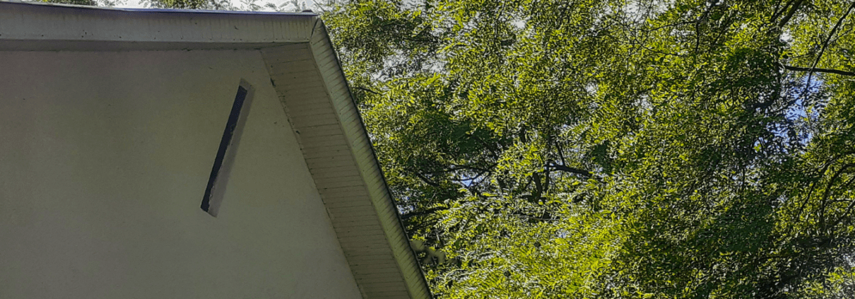 turn key anderson sc how tree coverage around your home can affect your roof turn key anderson, sc how tree coverage around your home can affect your roof